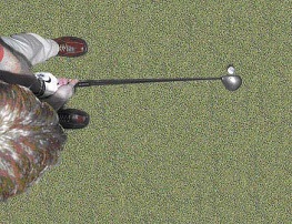 Golf Swing Address Ball from Overhead
